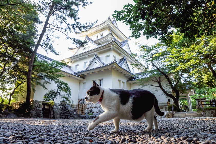 岐阜県、大垣市